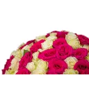 Kytice růžových a bílých růží